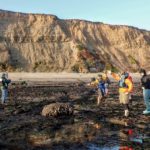 tidepooling pillar point - Blue Water Ventures