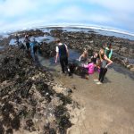 Extreme Tidepooling- Blue Water Ventures