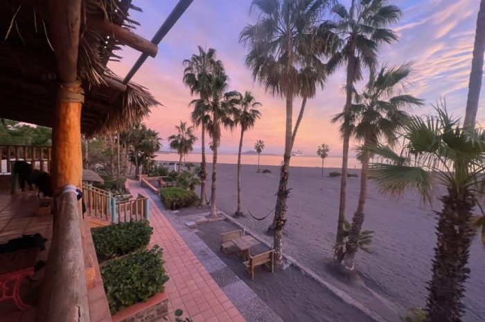 Hotel Based ~ Blue Whales, Gray Whales, Culture & Cuisine of Baja March 2027  9 Days  $3125-$3295